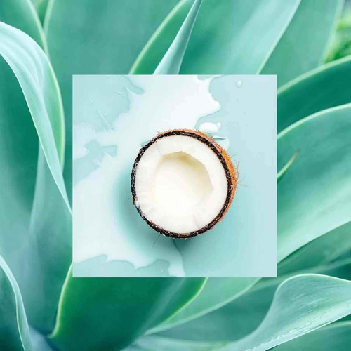 RS Shampoo Coconut Agave 18oz