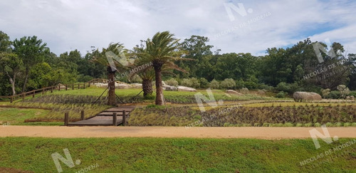 Imagen 2 de 14 de Chacras De Jose Ignacio - Jose Ignacio Pinar Del Faro