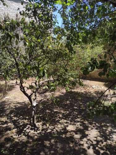 Venta Casa Quinta Amoblada En Francisco Alvarez Partido De Moreno