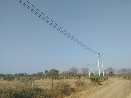 Vende 35.5 Hás San Clemente, Región Del Maule