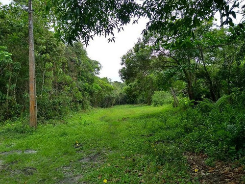Imagem 9 de 9 de Terreno - Venda - Puerta De Madrid - Itanhaem - Ita2687