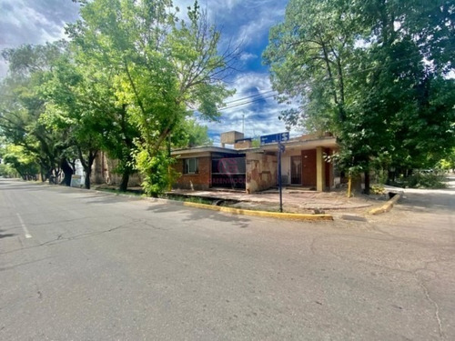 Imagen 23 de 30 de Greenwood Vende Bodega Y Casa En Lujan De Cuyo, Ideal Para Inversores De Experiencias Gastronomicas Y Guarda De Vinos