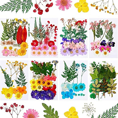 200 Piezas De Flores Prensadas Secas Reales, Flores De Resin
