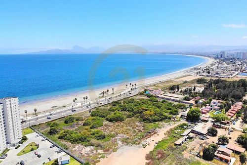 Se Vende Terreno Frente Al Mar En Coquimbio