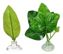 Comprar Yyaogagng 2 Uds Betta Floating Hoja Betta Cama Hoja Hamaca