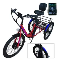 Comprar Triciclos Eléctricos Con Canastilla, Mxtpj-010, 750w, R24x2.