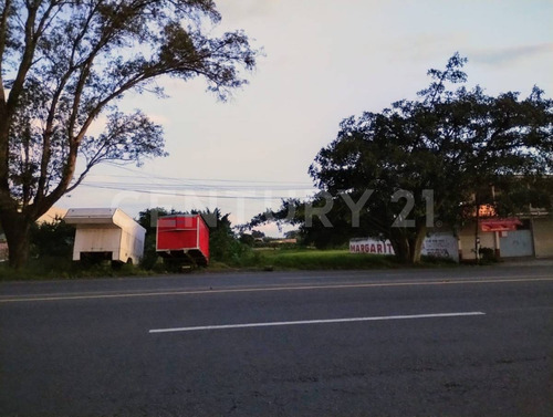 Terreno En Renta En Adolfo López Mateos, Yecapixtla, Morelos