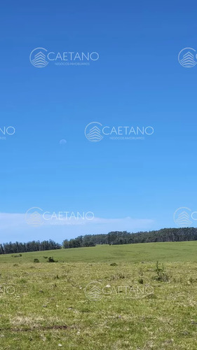 Venta Chacra Jose Ignacio Con Costa Arroyo Anastasio