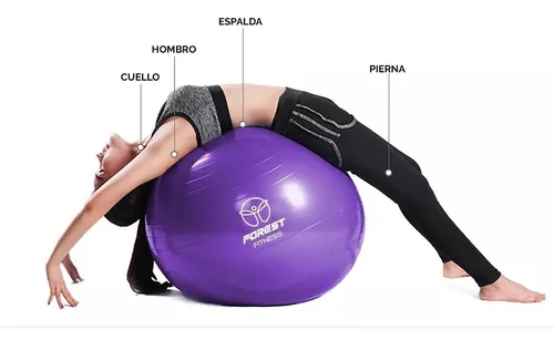 Pelota Pilates Esferodinamia 65 Cm Gimnasia Yoga Relax