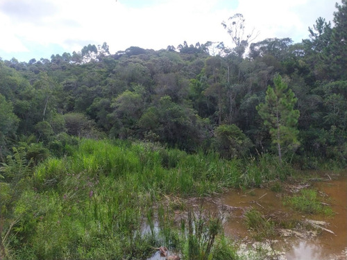 Imagem 6 de 19 de Tm- Lotes Promocionais A Venda, Troco Por Veículo