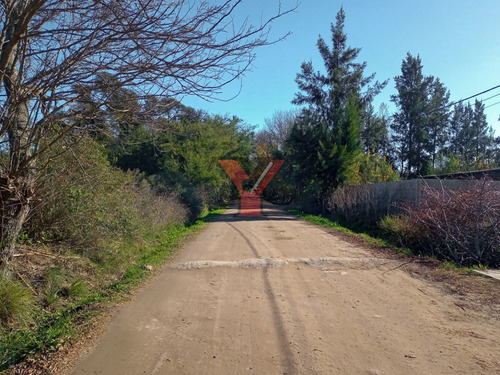 Imagen 3 de 5 de Oportunidad En Parque Cicardi.