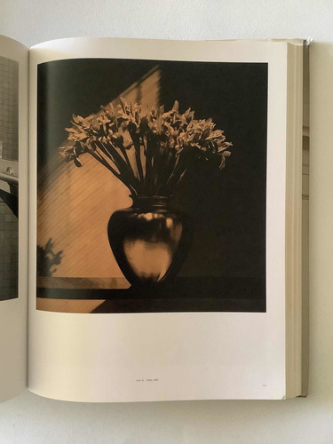 Mapplethorpe - Perfection In Form (Usado)