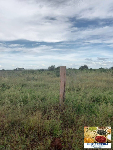 Imagem 8 de 15 de Fazenda À Venda Em Marianópolis - To - De 429 Alqueirão (dupla Aptidão) - 1682