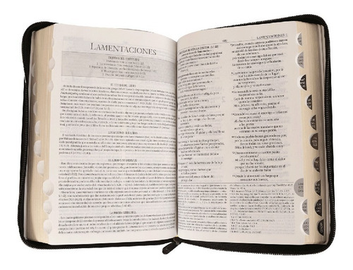 Imagen 5 de 5 de Biblia Rvr95 De Estudio Imitación Piel Negro C/índice/cierre