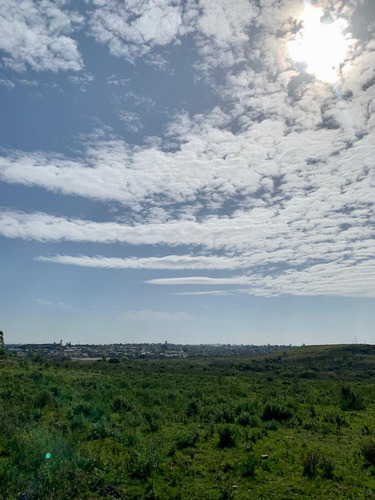 En Venta Chacra En Salto. Ruta 3 ¡atención Inversores Y Empresarios!