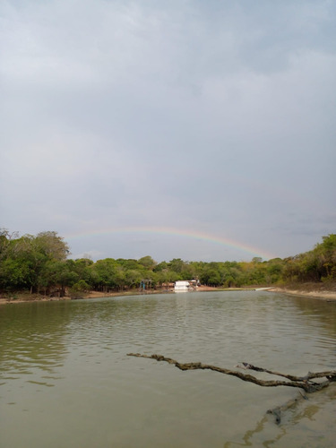Fazenda Paraiso Dos Pescadores 47,600ha Rio Do Peixe C/ Rio Araguaia - Viuva - Nova Crixas - Go