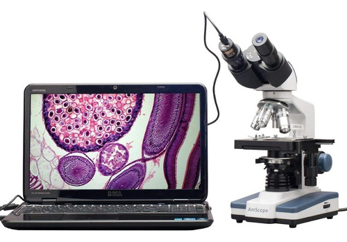 Microscopio Compuesto Binocular Biológico Led Amscope B120c-