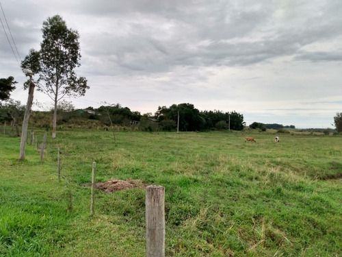 Chácara 20.000 M² - Passo Dos Pachecos - Glorinha - Rs - 2134 - 33951871
