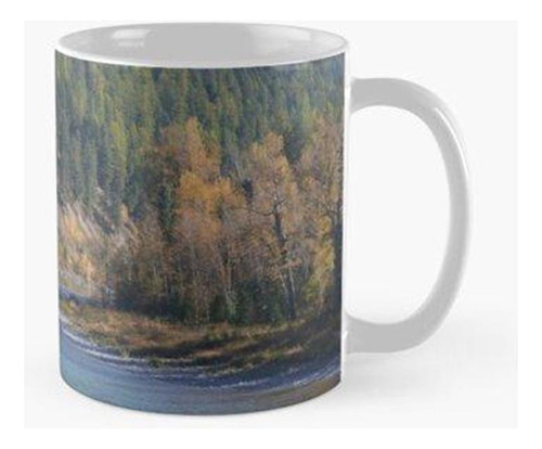 Taza Hermoso Arroyo De Montaña Calidad Premium