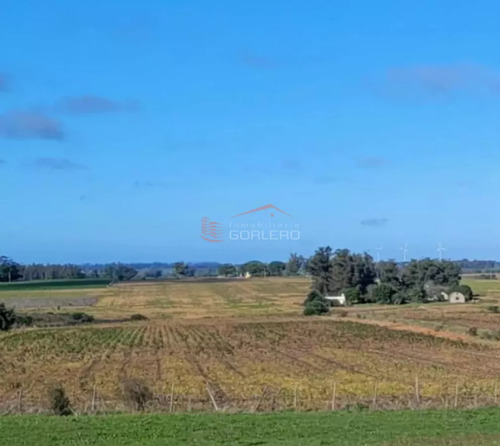San José, Venta De Chacra Con Gran Potencial, 5 Hás Sobre Ruta 1