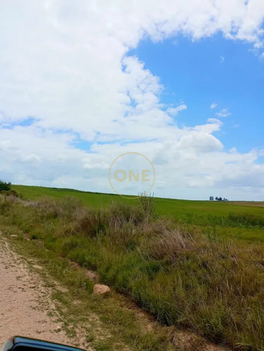 Venta De Campo De 150 Hectáreas En Curva Matonte Florida