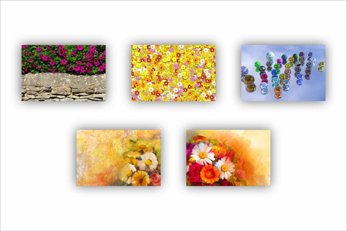 Kit 5 Quadros Pintura Decorativa Flores