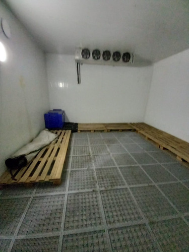 Aluga-se Galpão Com Camara Fria