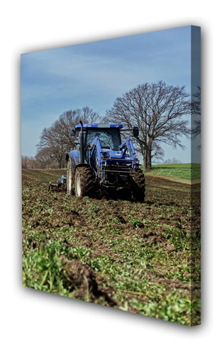 Cuadro 40x60cm Agricola Campo Cultivo Granja M5