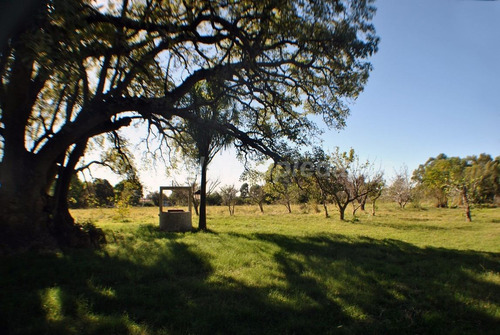 Imagen 7 de 11 de En Venta 5 Ha Con Dos Casas Colonia Del Sacramento