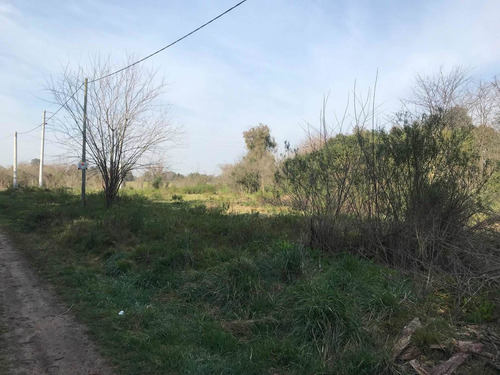 Imagen 2 de 3 de Venta Lote Lezica Y Torrezuri, Lujan