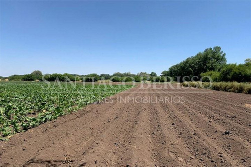 Terreno Campo  En Venta Ubicado En Parada Robles, Exaltación De La Cruz, G.b.a. Zona Norte