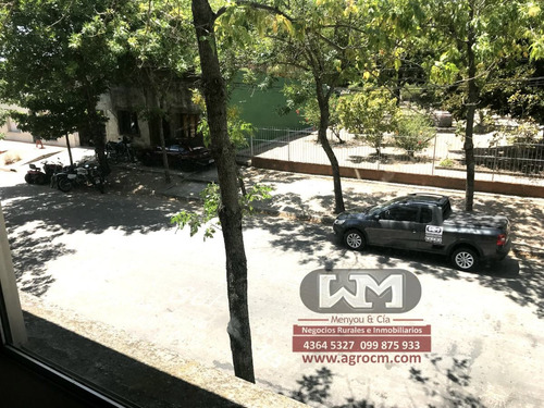 Imagen 4 de 12 de Venta Apartamento Trinidad Flores 2 Dormitorios Inmob Menyou