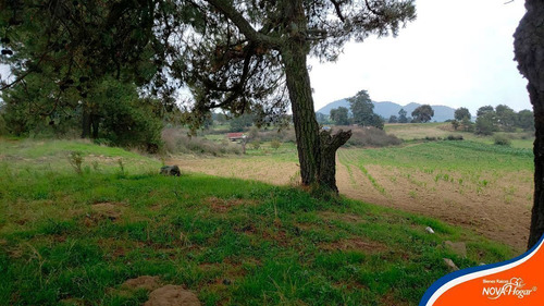 Terreno En Venta Casi Plano Cercano A Amecameca