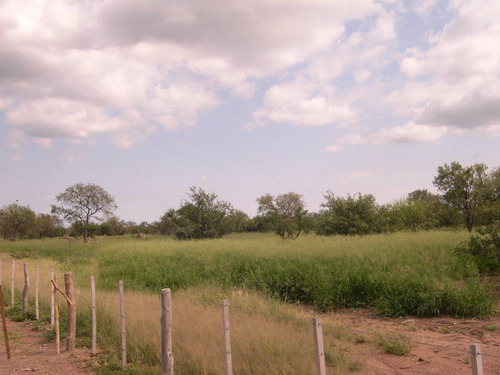 Imagen 8 de 13 de Campo Ganadero 4.300 Has ( San Francisco Del Chañar. Cba )