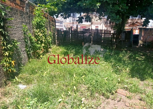Imagem 15 de 16 de Terreno - Te00005 - 70482597