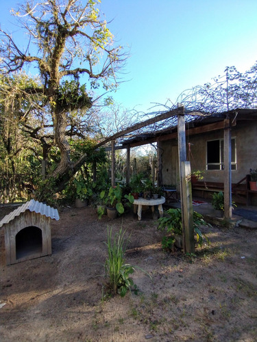 Mini Sítio Com Ampla Casa