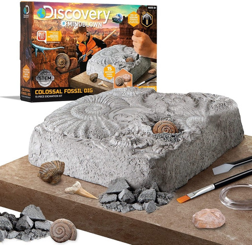 Juego De Excavación De Fósiles Colosal