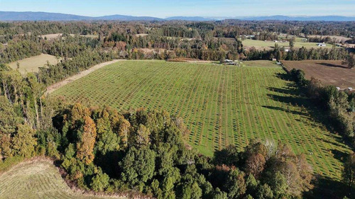 Campo En Venta Inversionista Pitrufquen (104143)
