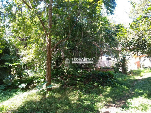 Imagem 3 de 26 de Chácara À Venda No Jardim Alpino - Ch0204