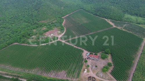 Venta Rancho Los Asmoles Colima