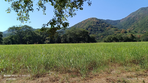 Terreno Propiedad Privada En El Naranjo, Manzanillo