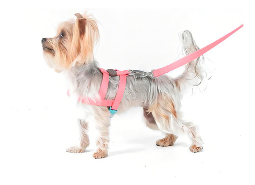 Peitoral E Guia P/cachorro Tradicional Toh Fiji ( Rosa) M