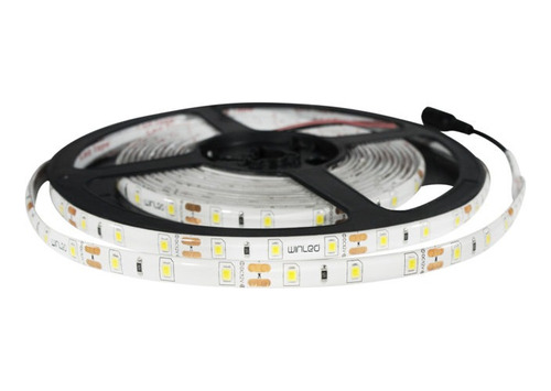 Tira 300 Leds 2835 5m 24w Winled Wti-006