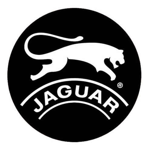 Imagen 5 de 6 de Zapatilla Jaguar 8174/ngyrj/cuo