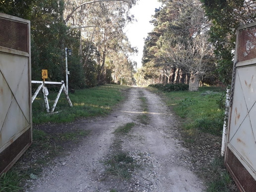 Imagen 13 de 23 de Campo 5 Ha Arboledas Añosas 2 Piletas Natac. Complejo C/instalac. Y Vvda Aptas Varios Destinos