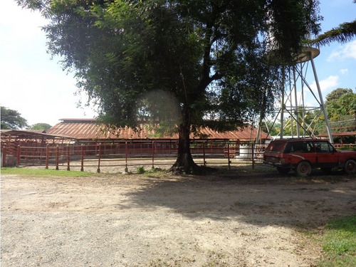 Espectacular Finca En Parque Valencia