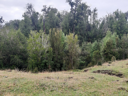 Parcela De 1,26 Hectárea Con Borde De Estero, Sector Puntra