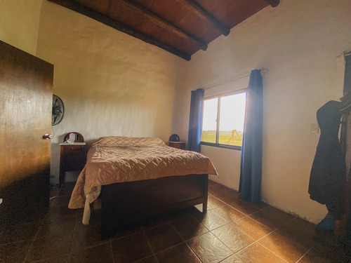 Imagen 7 de 14 de Campo En Venta De 150000m2 Ubicado En Maldonado