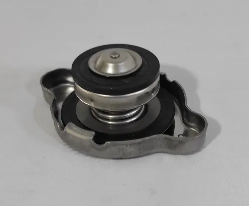 Radiador Jac T6 1037 Original