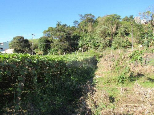 Imagem 11 de 26 de Terreno À Venda, 14900 M² Por R$ 9.000.000,00 - Jardim São João (zona Norte) - São Paulo/sp - Te0138